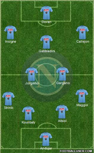 Napoli Formation 2015