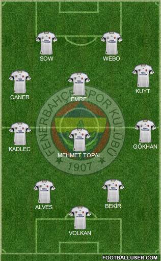 Fenerbahçe SK Formation 2015