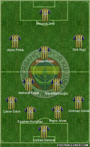 Fenerbahçe SK Formation 2015
