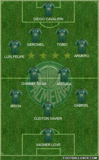 SE Palmeiras Formation 2015