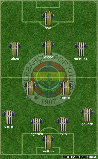 Fenerbahçe SK Formation 2015