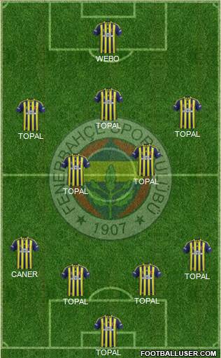 Fenerbahçe SK Formation 2015