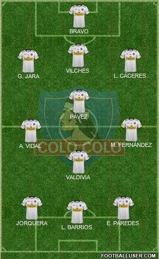 CSD Colo Colo Formation 2015