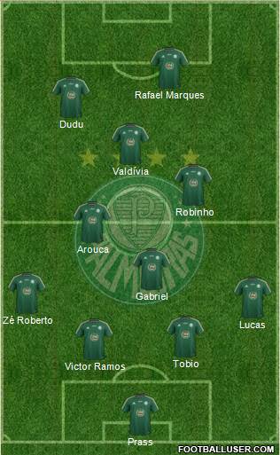 SE Palmeiras Formation 2015