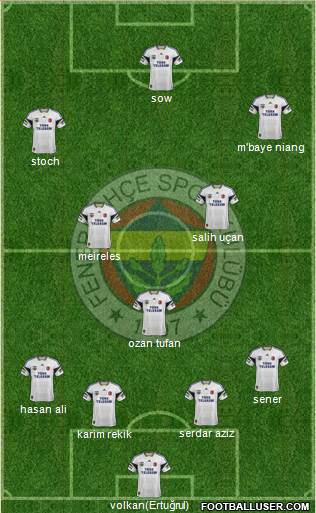 Fenerbahçe SK Formation 2015