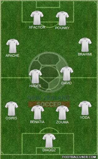New Zealand Formation 2015