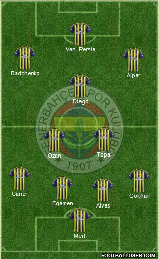 Fenerbahçe SK Formation 2015