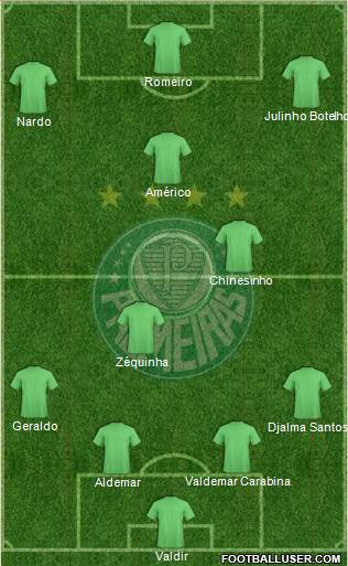 SE Palmeiras Formation 2015