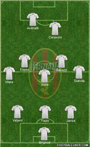 Ternana Formation 2015