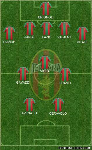 Ternana Formation 2015