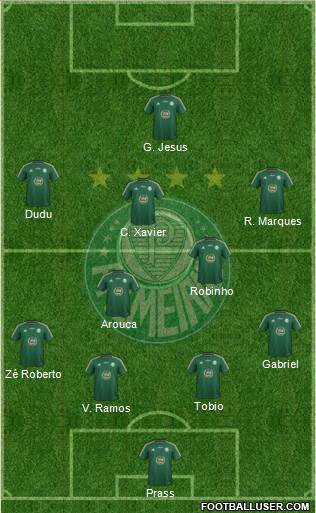SE Palmeiras Formation 2015