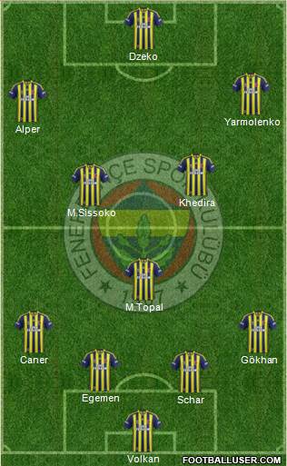Fenerbahçe SK Formation 2015
