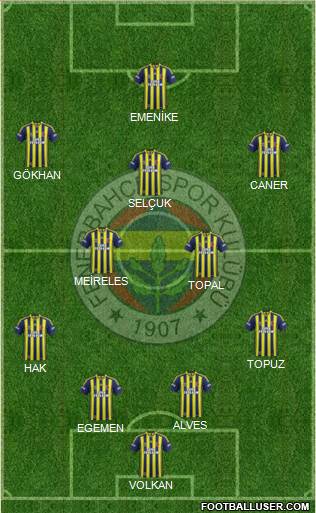 Fenerbahçe SK Formation 2015