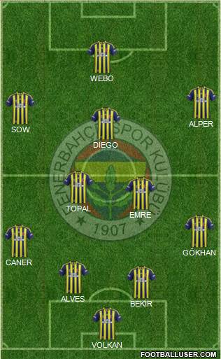 Fenerbahçe SK Formation 2015
