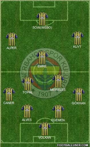 Fenerbahçe SK Formation 2015