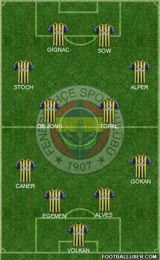 Fenerbahçe SK Formation 2015