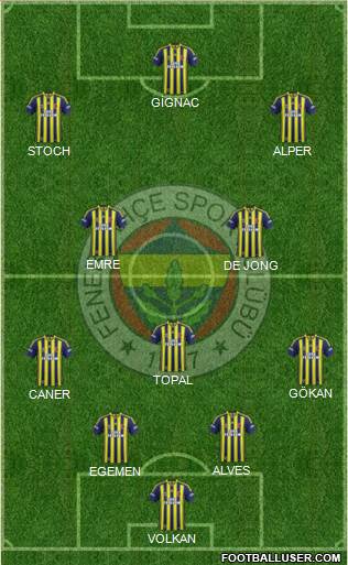 Fenerbahçe SK Formation 2015