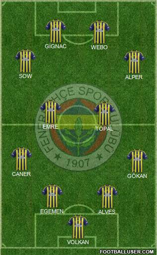 Fenerbahçe SK Formation 2015
