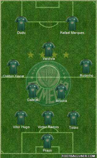 SE Palmeiras Formation 2015