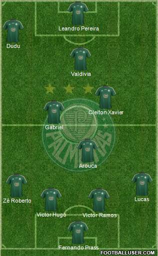 SE Palmeiras Formation 2015