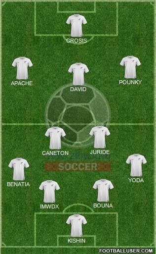 New Zealand Formation 2015