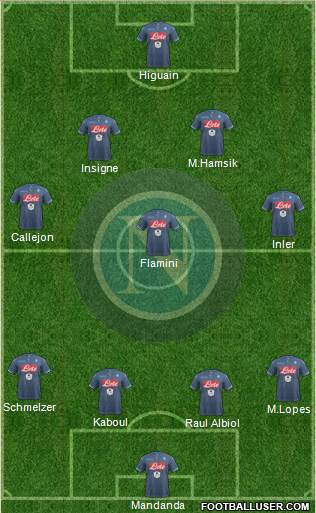 Napoli Formation 2015