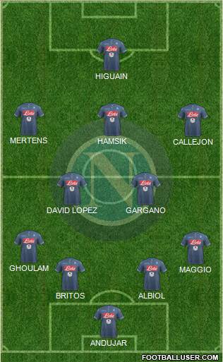 Napoli Formation 2015