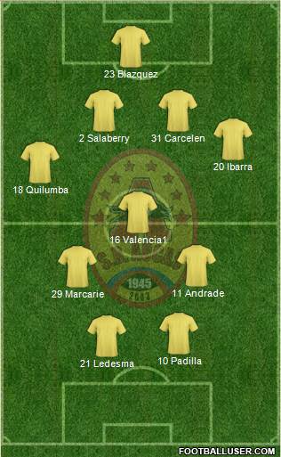 SD Aucas Formation 2015
