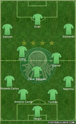 SE Palmeiras Formation 2015