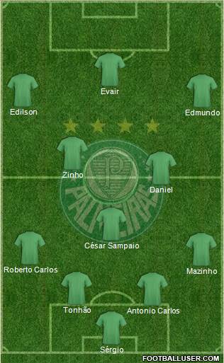SE Palmeiras Formation 2015