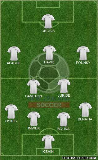 New Zealand Formation 2015