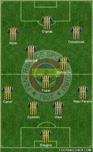 Fenerbahçe SK Formation 2015