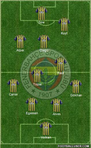Fenerbahçe SK Formation 2015