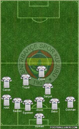 Fenerbahçe SK Formation 2015