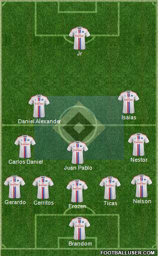 Hamburger SV Formation 2015