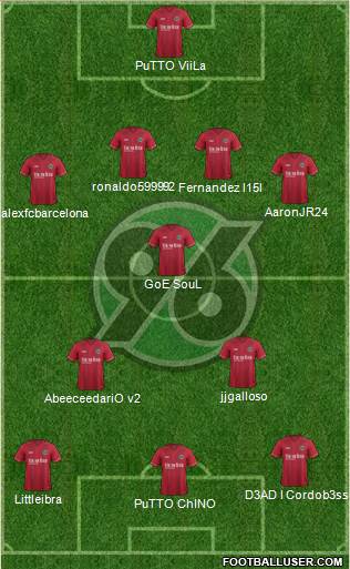 Hannover 96 Formation 2015