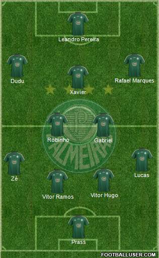 SE Palmeiras Formation 2015