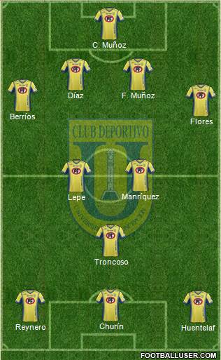 CCD Universidad de Concepción Formation 2015