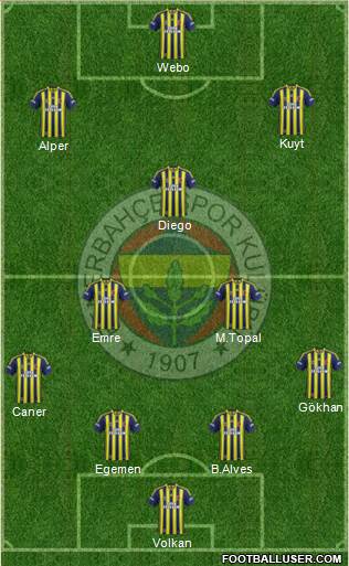 Fenerbahçe SK Formation 2015