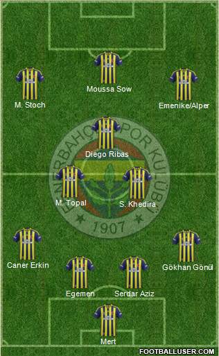 Fenerbahçe SK Formation 2015