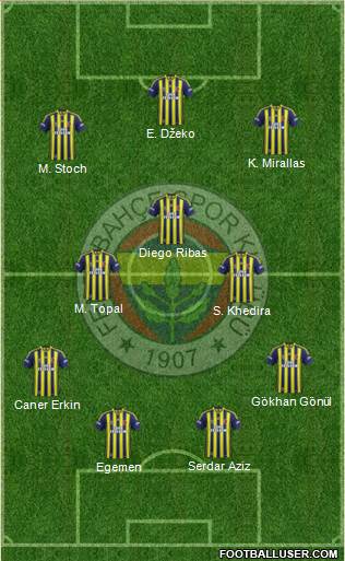 Fenerbahçe SK Formation 2015