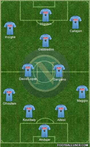 Napoli Formation 2015