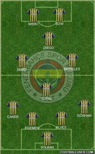 Fenerbahçe SK Formation 2015