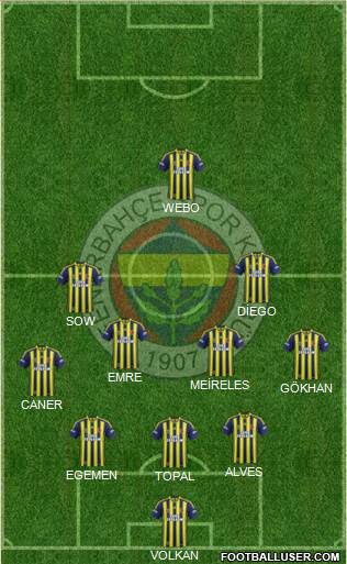 Fenerbahçe SK Formation 2015