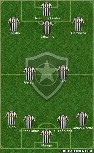 Botafogo FR Formation 2015