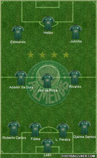 SE Palmeiras Formation 2015
