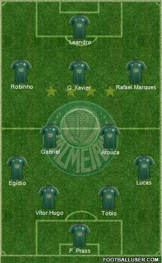 SE Palmeiras Formation 2015