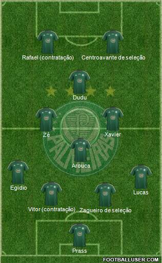 SE Palmeiras Formation 2015