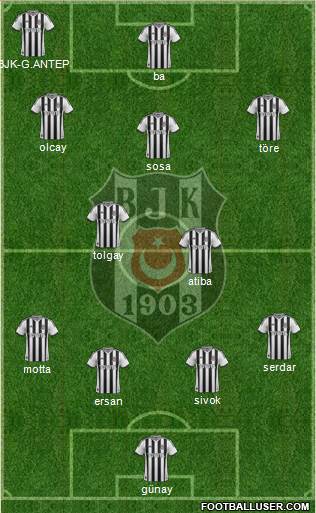 Besiktas JK Formation 2015