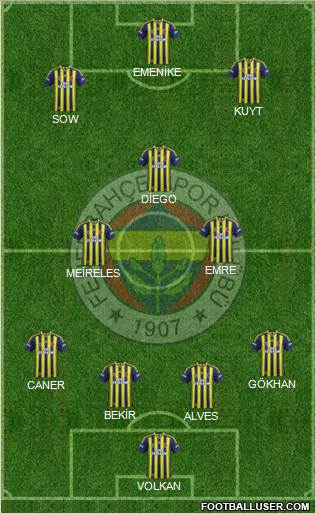 Fenerbahçe SK Formation 2015